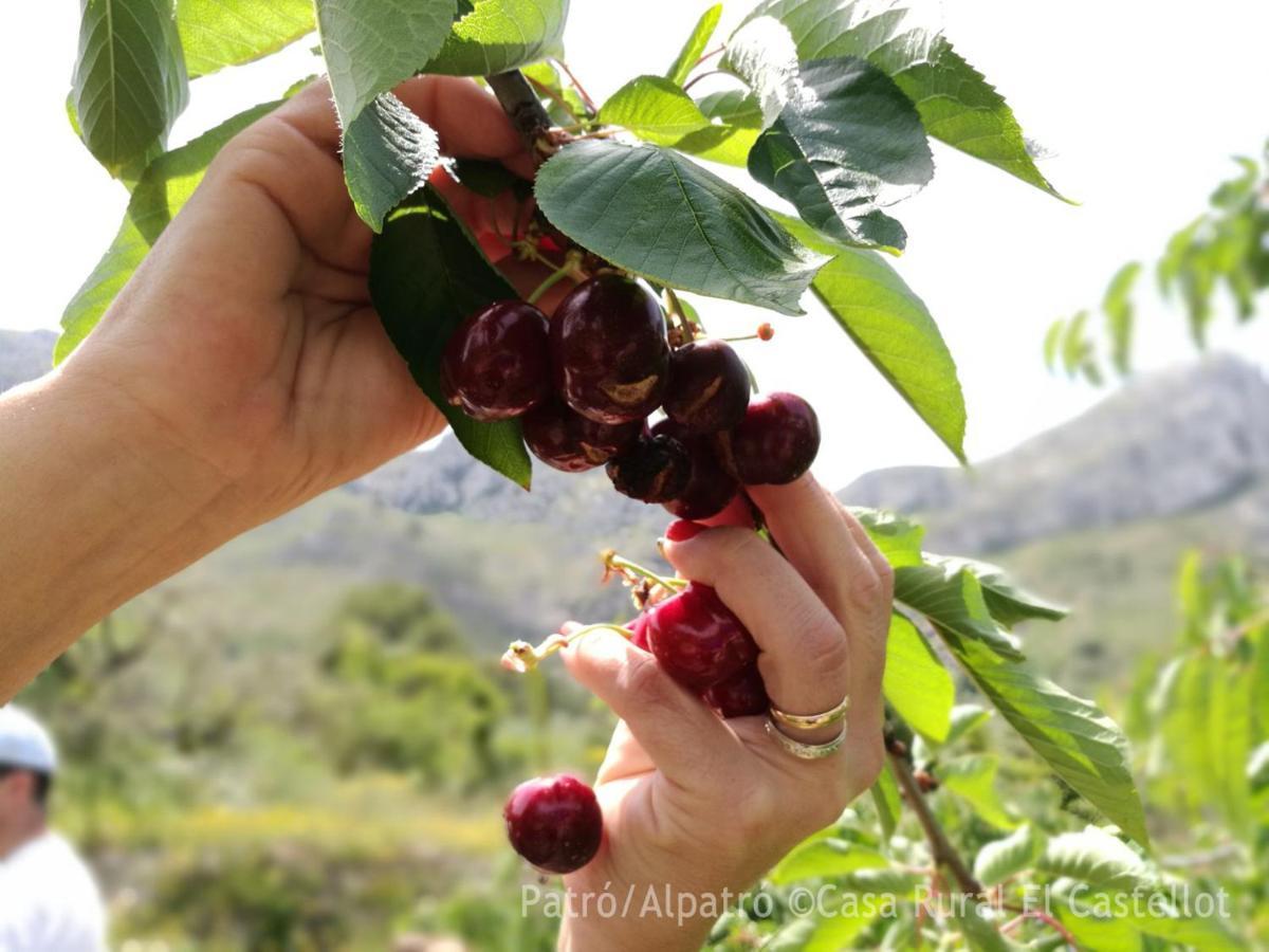 Buhardilla Rústica en la Vall de Gallinera Aparthotel Patró Exterior foto