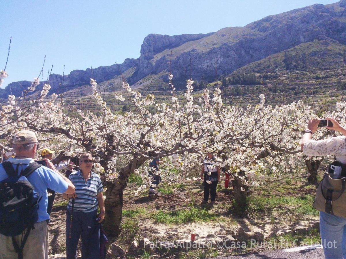 Buhardilla Rústica en la Vall de Gallinera Aparthotel Patró Exterior foto