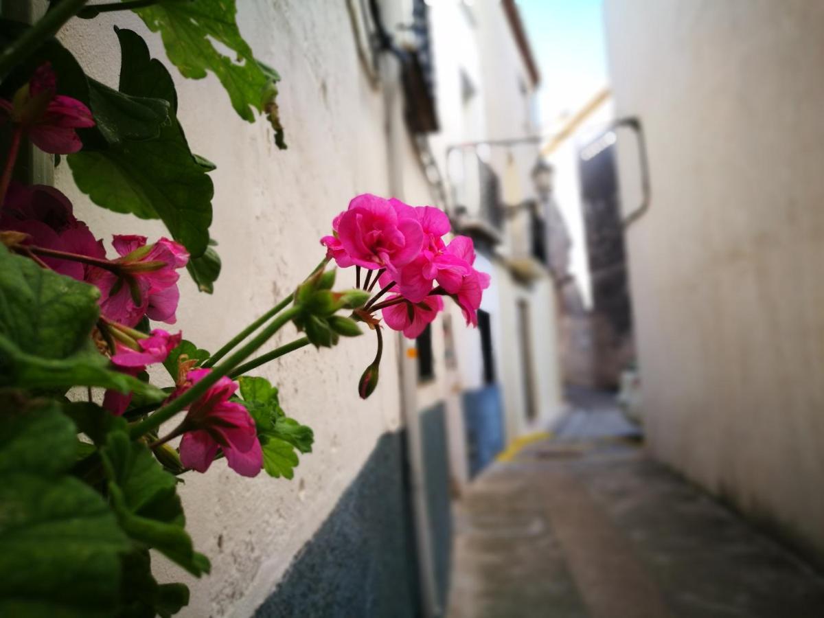 Buhardilla Rústica en la Vall de Gallinera Aparthotel Patró Exterior foto